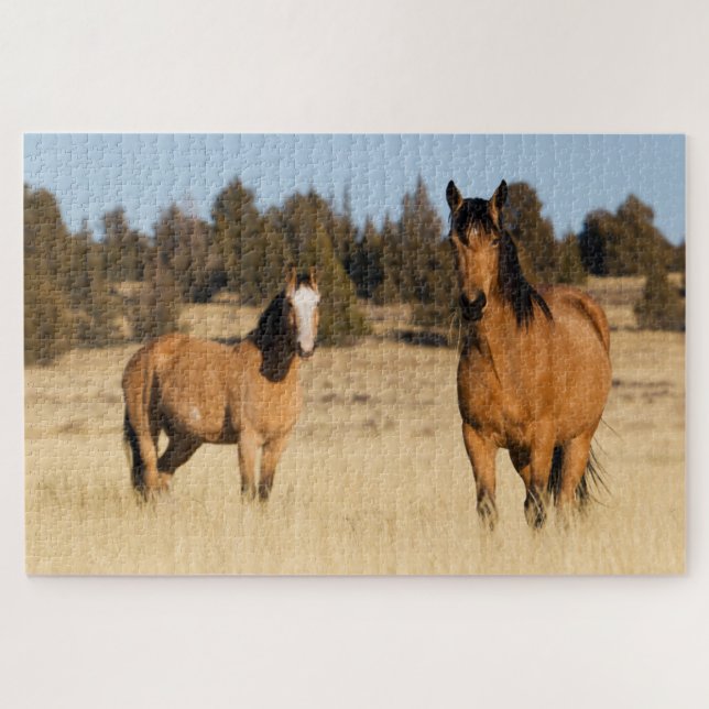 Puzzle Chevaux sauvages, montagnes de Steens (Horizontal)