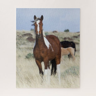 Puzzle Chevaux sauvages, montagnes Steens