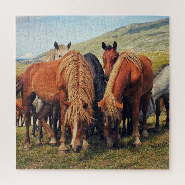 Puzzle Chevaux sauvages Vie Nature Scène (Vertical)