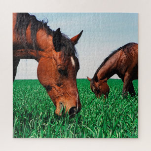 Puzzle Chevaux Sur Le Terrain