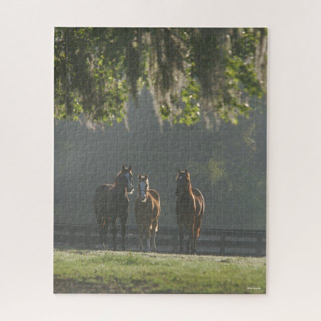 Puzzle Chevaux trois quarts debout dans la fosse (Vertical)