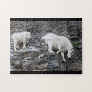 Puzzle chèvre de montagne avec le bébé