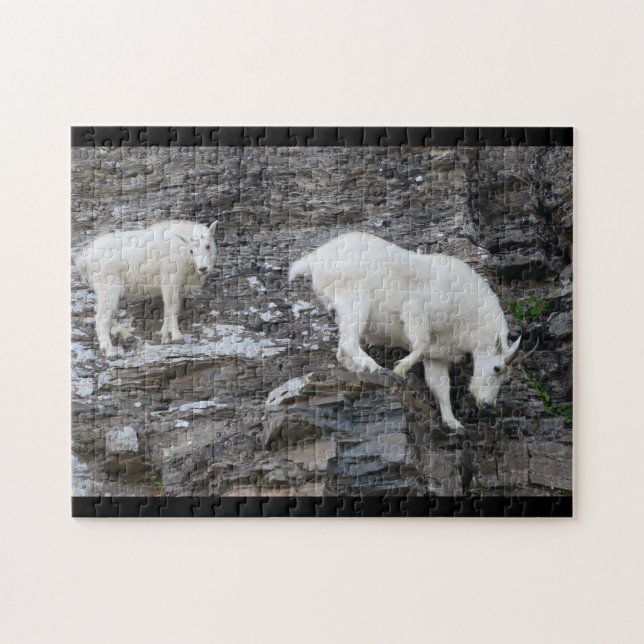 Puzzle chèvre de montagne avec le bébé (Horizontal)