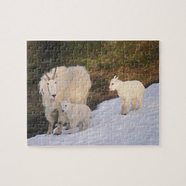 Puzzle chèvres des montagnes (Horizontal)