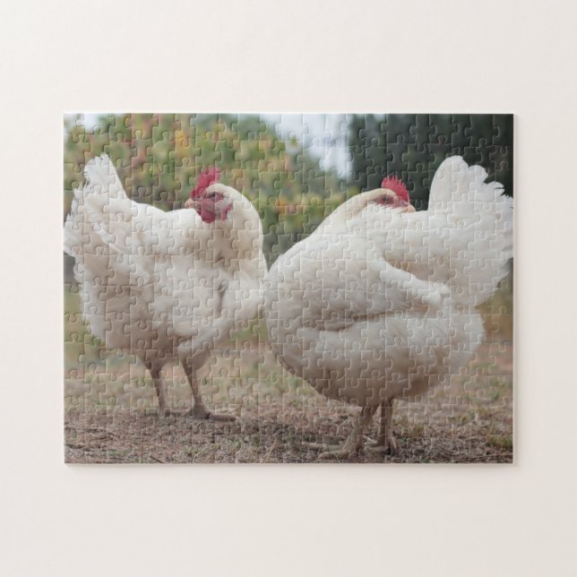 Puzzle Chicken Funky Hen Hy Line Silver Brown (Horizontal)