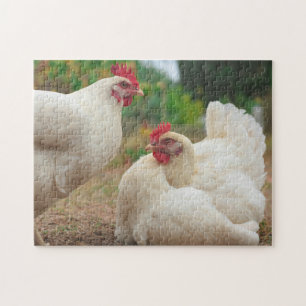 Puzzle Chicken Funky Hen Hy Line Silver Brown
