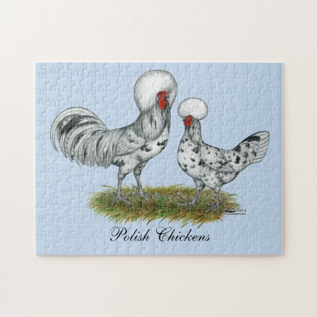 Puzzle Chickens de Polish (Horizontal)
