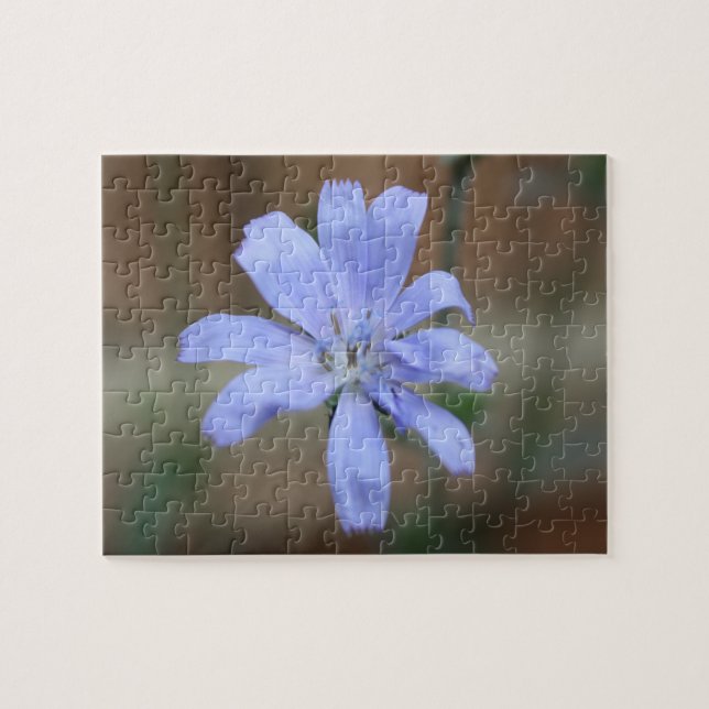 Puzzle Chicorée (Horizontal)