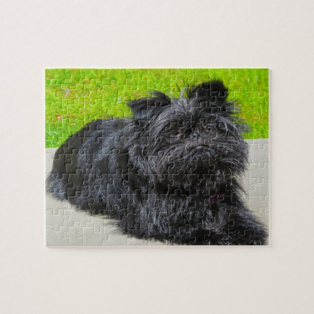 Puzzle Chien Affenpinscher de race pure. (Horizontal)