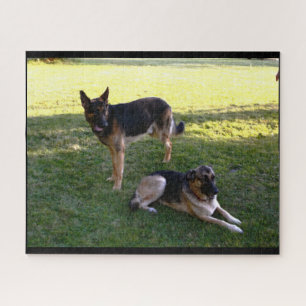 PUZZLE CHIEN ALLEMAND SHEPHERD