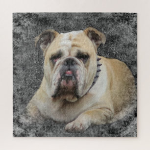 Puzzle chien, animal de compagnie, mignon, animal, race,
