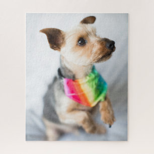 Puzzle Chien arc-en-ciel Gay pride Yorkshire Terrier