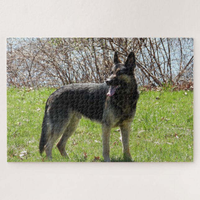Puzzle Chien berger allemand (Horizontal)