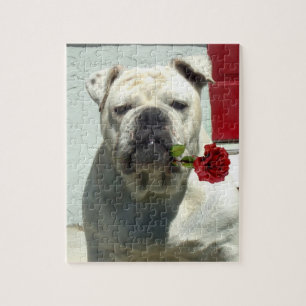 Puzzle Chien blanc avec rose