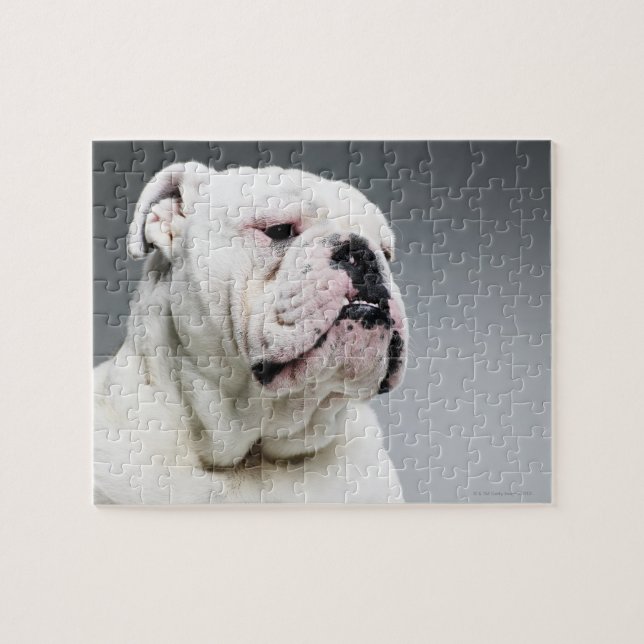 Puzzle Chien blanc de Taureau (Horizontal)