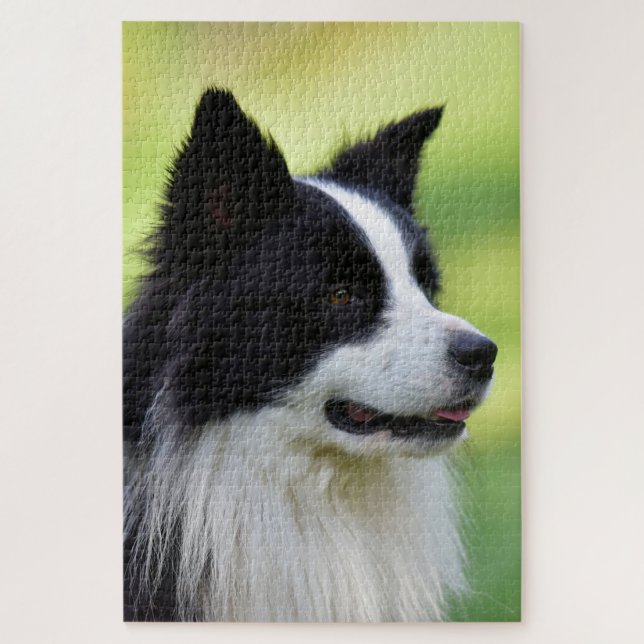 Puzzle Chien Border Collie noir et blanc (Vertical)