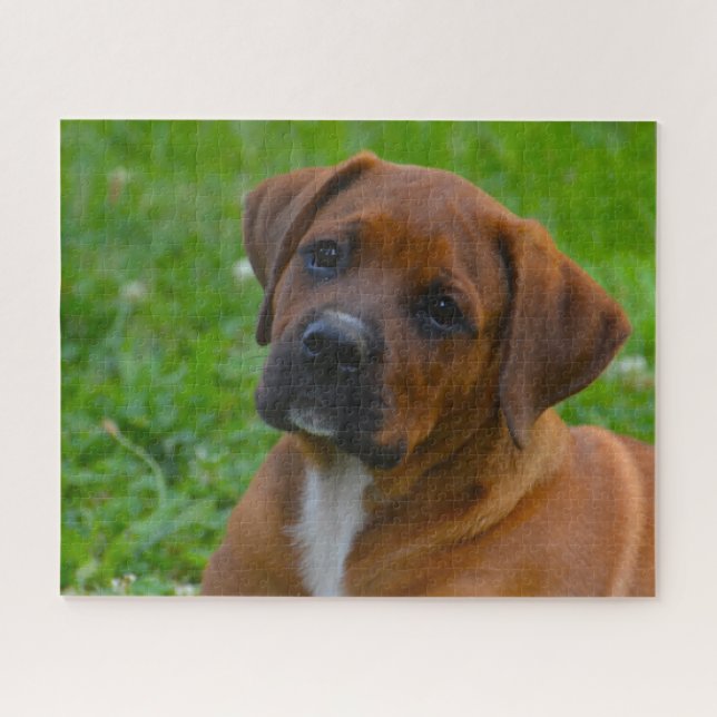 Puzzle Chien Boxer (Horizontal)