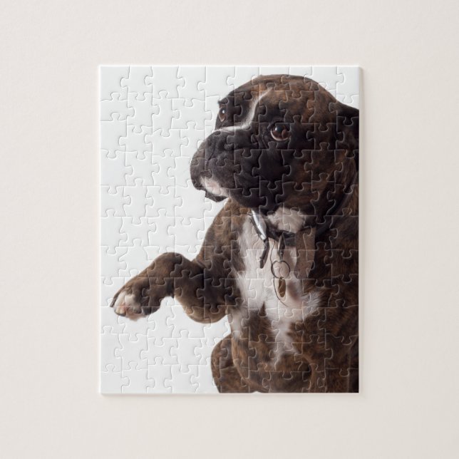 Puzzle chien boxeur (Vertical)