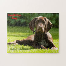 Chien Braque Allemand.