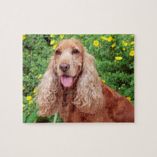 Puzzle Chien Brown Fluffeux
