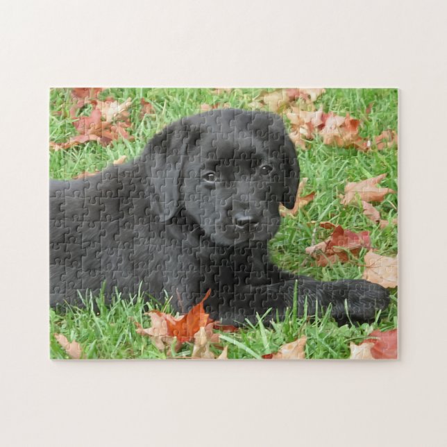 Puzzle Chien Chien Chien Chien Noir Labrador Rétriever (Horizontal)