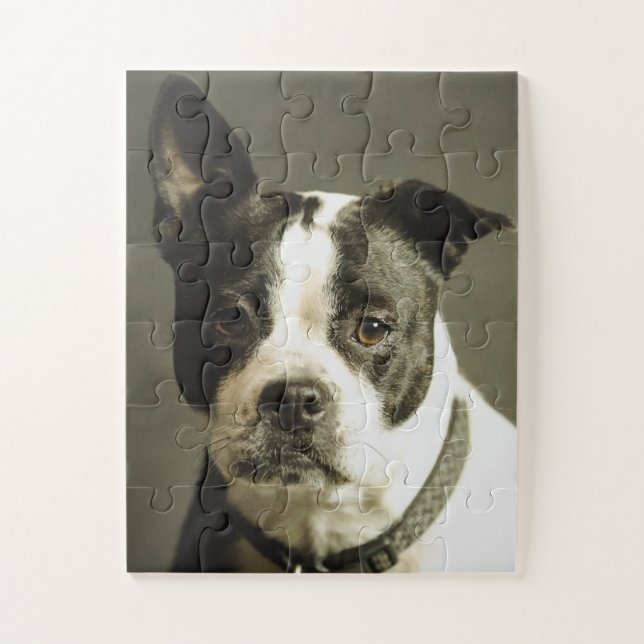 PUZZLE CHIEN, CHIEN NOIR ET BLANC (Vertical)