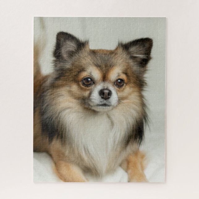 Puzzle Chien chihuahua, Chien chiot, long et lourd (Vertical)