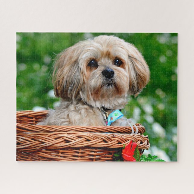 Puzzle Chien chiot Lhassa Apso dans un panier (Horizontal)
