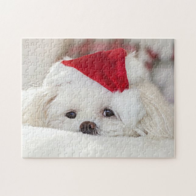 Puzzle Chien chiot maltais blanc mignon dans un chapeau d (Horizontal)