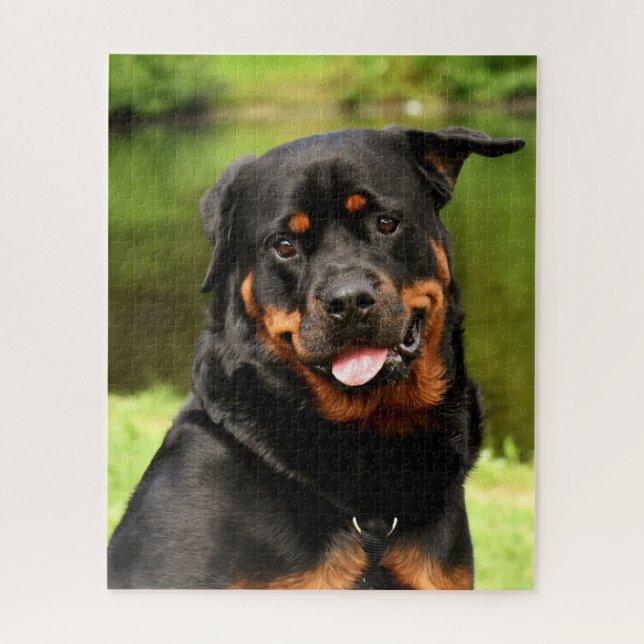 Puzzle Chien chiot noir et tan Rottweiler (Vertical)