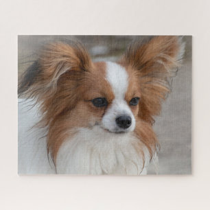 Puzzle Chien chiot Papillon amical