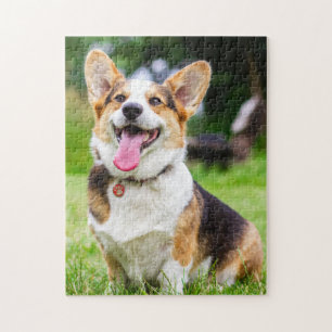 Puzzle Chien coquelicot de Pembroke Welsh Corgi
