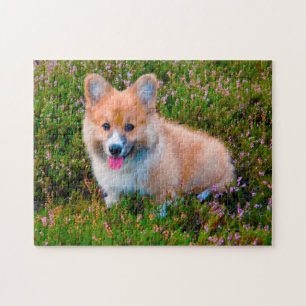 Puzzle Chien Corgi.