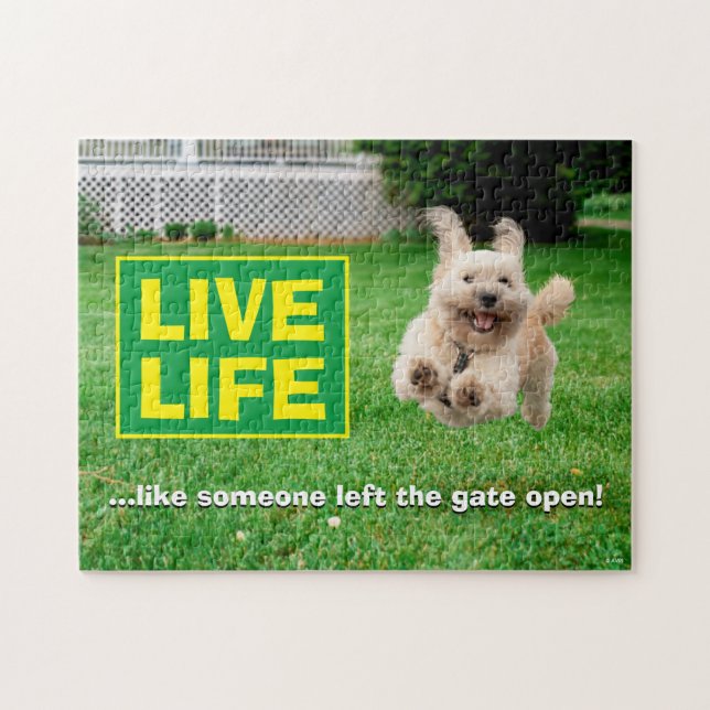 Puzzle Chien Courant Dans Le Jardin (Horizontal)