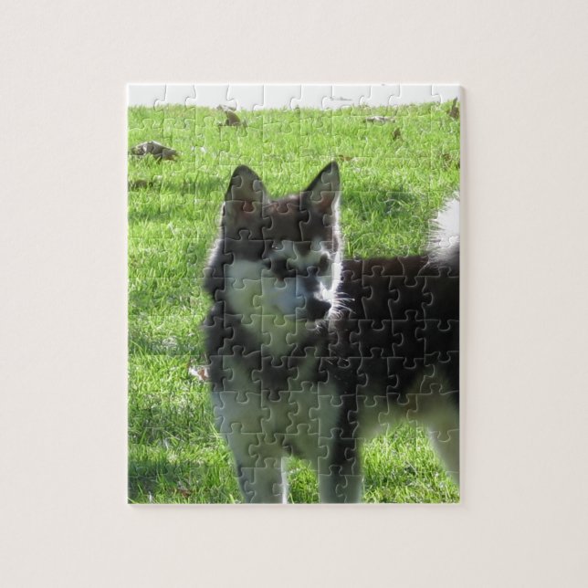 Puzzle Chien d'Alaska de Klee Kai (Vertical)