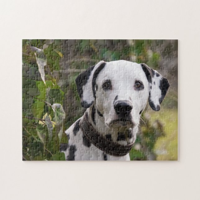 Puzzle Chien dalmate (Horizontal)