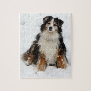 Puzzle Chien de berger australien dans la neige