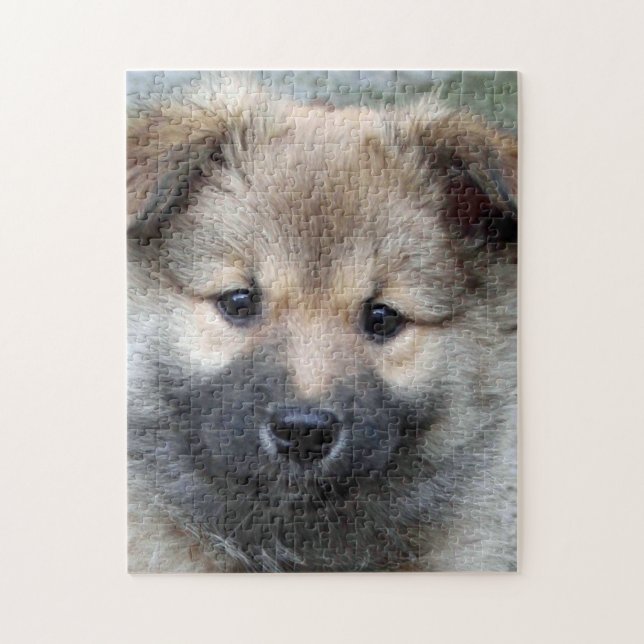Puzzle Chien de berger islandais 2014-0803 (Vertical)