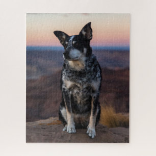 Puzzle Chien de bétail australien Heeler - Coucher de sol