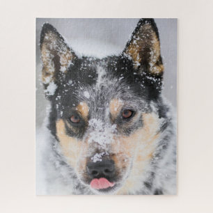 Puzzle Chien de Blue Heeler dans la neige
