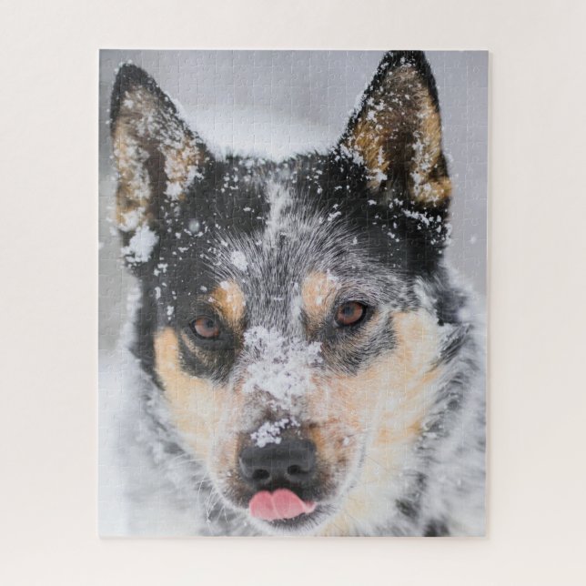 Puzzle Chien de Blue Heeler dans la neige (Vertical)