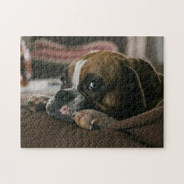 Puzzle Chien de boîte endormi (Horizontal)