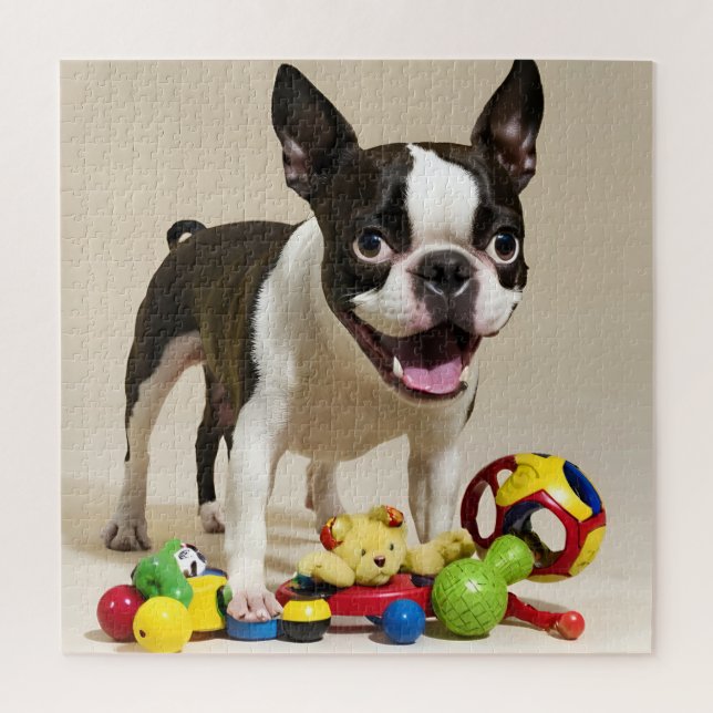 Puzzle Chien de Boston Terrier jouant avec des jouets (Vertical)