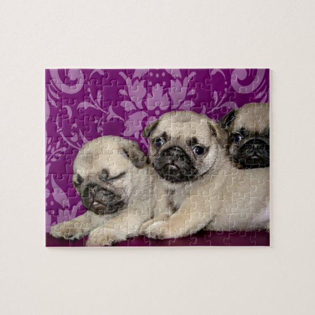 Puzzle Chien de chiots carlins (Horizontal)