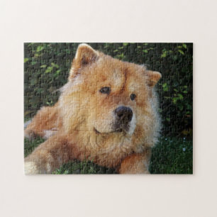Puzzle Chien de Cute Chow Chow