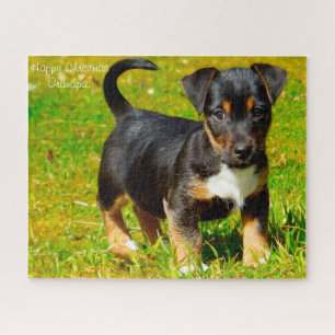 Puzzle Chien de Jack Russell.