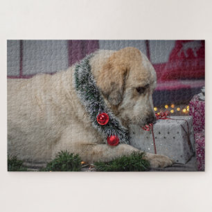 Puzzle Chien de laboratoire mignon Noël
