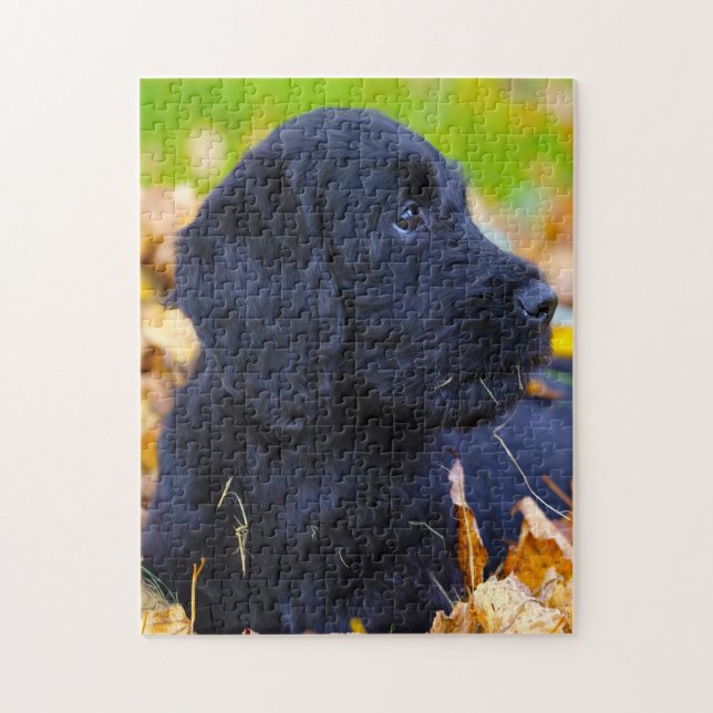 Puzzle Chien de Labradoodle. (Vertical)