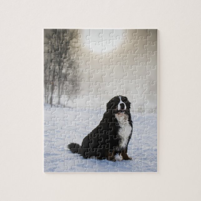 Puzzle chien de montagne bernais dans la neige (Vertical)