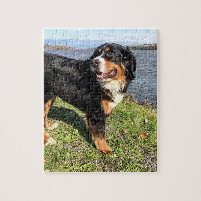 Puzzle Chien de montagne bernois (Vertical)